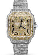 Load image into Gallery viewer, CARTIER SANTOS WSSA0062