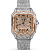 Load image into Gallery viewer, CARTIER SANTOS WSSA0018