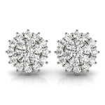 Load image into Gallery viewer, Earrings