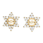 Load image into Gallery viewer, Earrings
