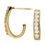 Load image into Gallery viewer, Earrings