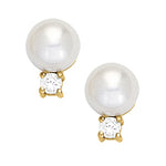 Load image into Gallery viewer, Earrings