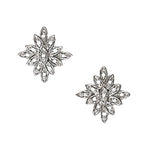 Load image into Gallery viewer, Earrings