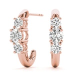 Load image into Gallery viewer, Earrings