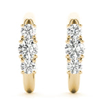 Load image into Gallery viewer, Earrings