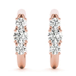 Load image into Gallery viewer, Earrings