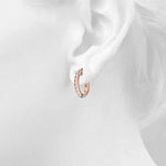 Load image into Gallery viewer, Earrings