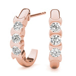 Load image into Gallery viewer, Earrings