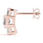 Load image into Gallery viewer, Earrings