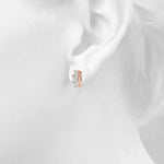 Load image into Gallery viewer, Earrings