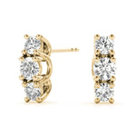 Load image into Gallery viewer, Earrings