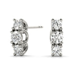 Load image into Gallery viewer, Earrings