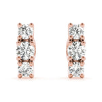 Load image into Gallery viewer, Earrings