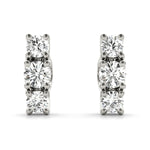 Load image into Gallery viewer, Earrings