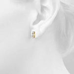 Load image into Gallery viewer, Earrings