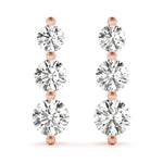 Load image into Gallery viewer, Earrings