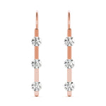 Load image into Gallery viewer, Earrings