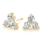Load image into Gallery viewer, Earrings