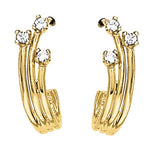 Load image into Gallery viewer, Earrings