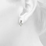 Load image into Gallery viewer, Earrings