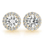 Load image into Gallery viewer, Earrings