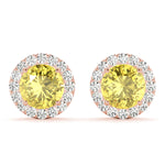 Load image into Gallery viewer, Earrings