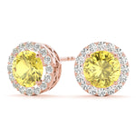 Load image into Gallery viewer, Earrings
