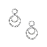Load image into Gallery viewer, Earrings