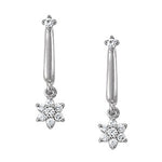 Load image into Gallery viewer, Earrings