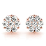 Load image into Gallery viewer, Earrings