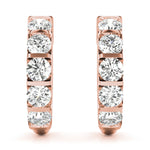 Load image into Gallery viewer, Earrings
