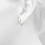 Load image into Gallery viewer, Earrings