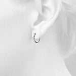 Load image into Gallery viewer, Earrings