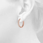 Load image into Gallery viewer, Earrings