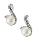 Load image into Gallery viewer, Earrings