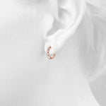 Load image into Gallery viewer, Earrings