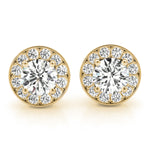 Load image into Gallery viewer, Earrings