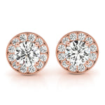 Load image into Gallery viewer, Earrings