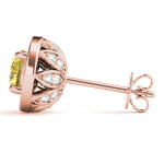 Load image into Gallery viewer, Earrings