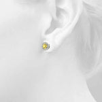 Load image into Gallery viewer, Earrings