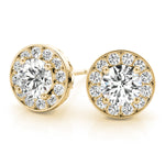 Load image into Gallery viewer, Earrings
