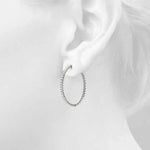 Load image into Gallery viewer, Earrings