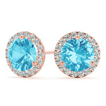 Load image into Gallery viewer, Earrings