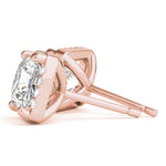 Load image into Gallery viewer, Earrings