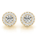 Load image into Gallery viewer, Earrings