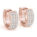 Load image into Gallery viewer, Earrings