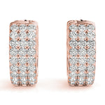 Load image into Gallery viewer, Earrings