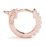 Load image into Gallery viewer, Earrings