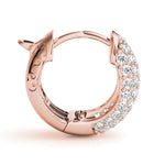 Load image into Gallery viewer, Earrings