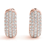 Load image into Gallery viewer, Earrings